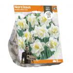 Baltus Narcissus Double White Lion bloembollen per 5 stuks